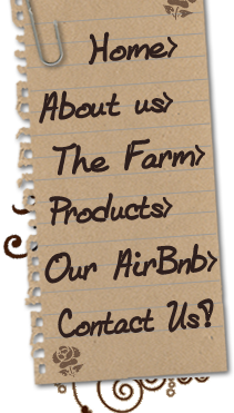 Buy Goats Milk Soap As Gifts